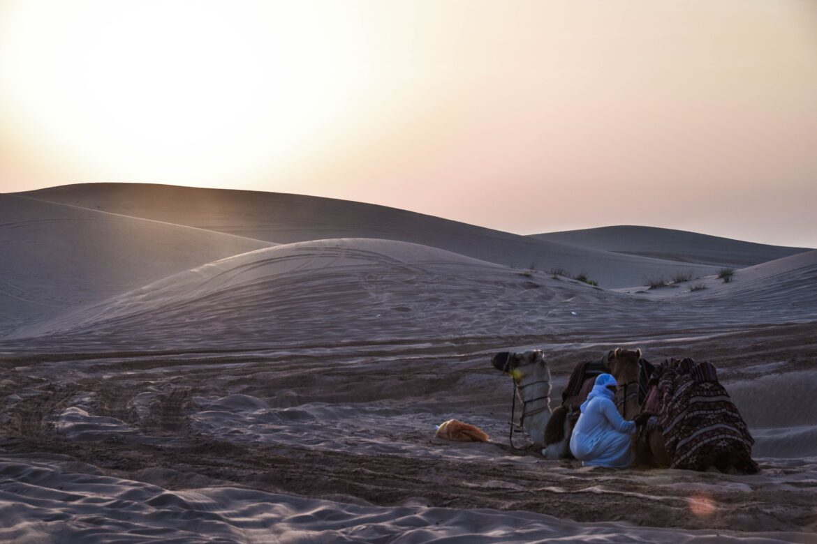 Sonnenaufgang in der Wüste vor Abu Dhabi: Eine Jeep-Safari