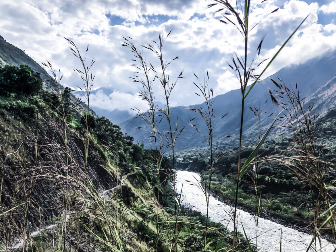 Jungle Trek nach Machu Picchu: Ein „kleiner Spaziergang“ durch die Anden