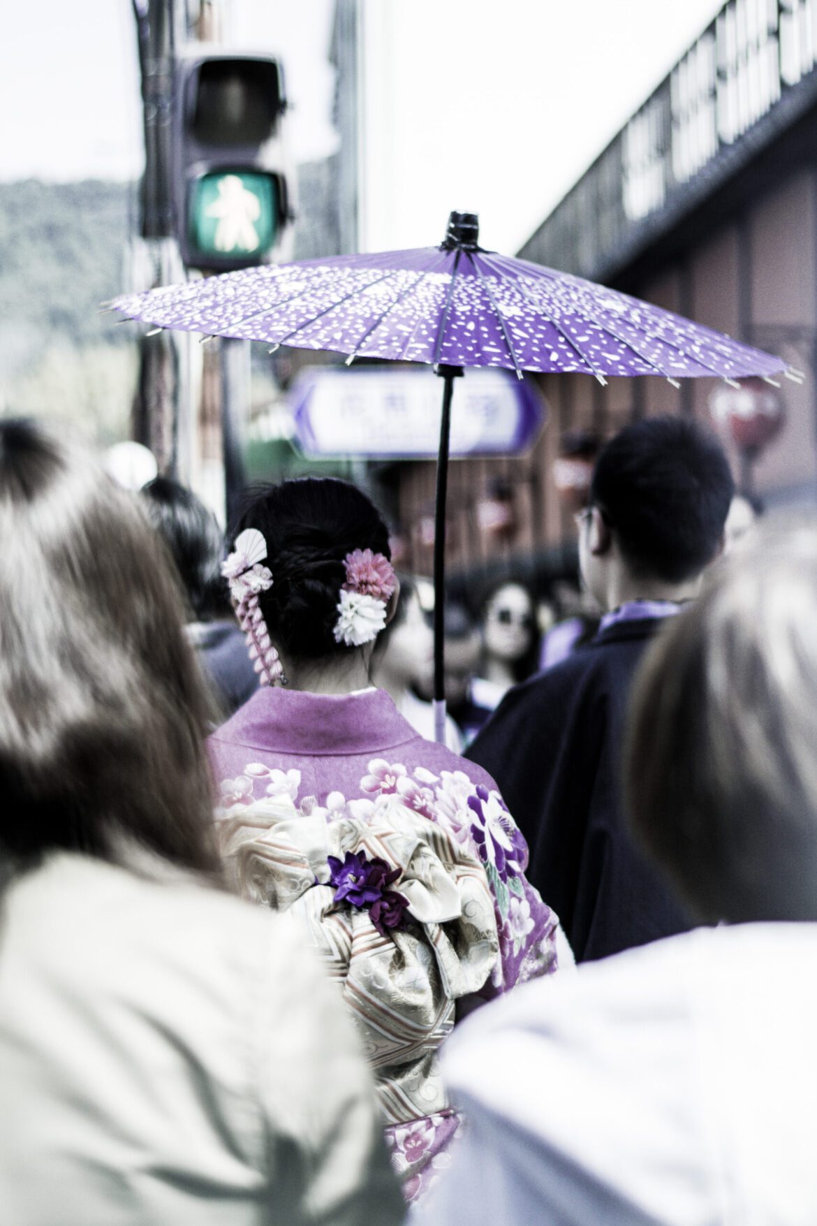 Kirschblüte in Kyoto, Japan, Asien