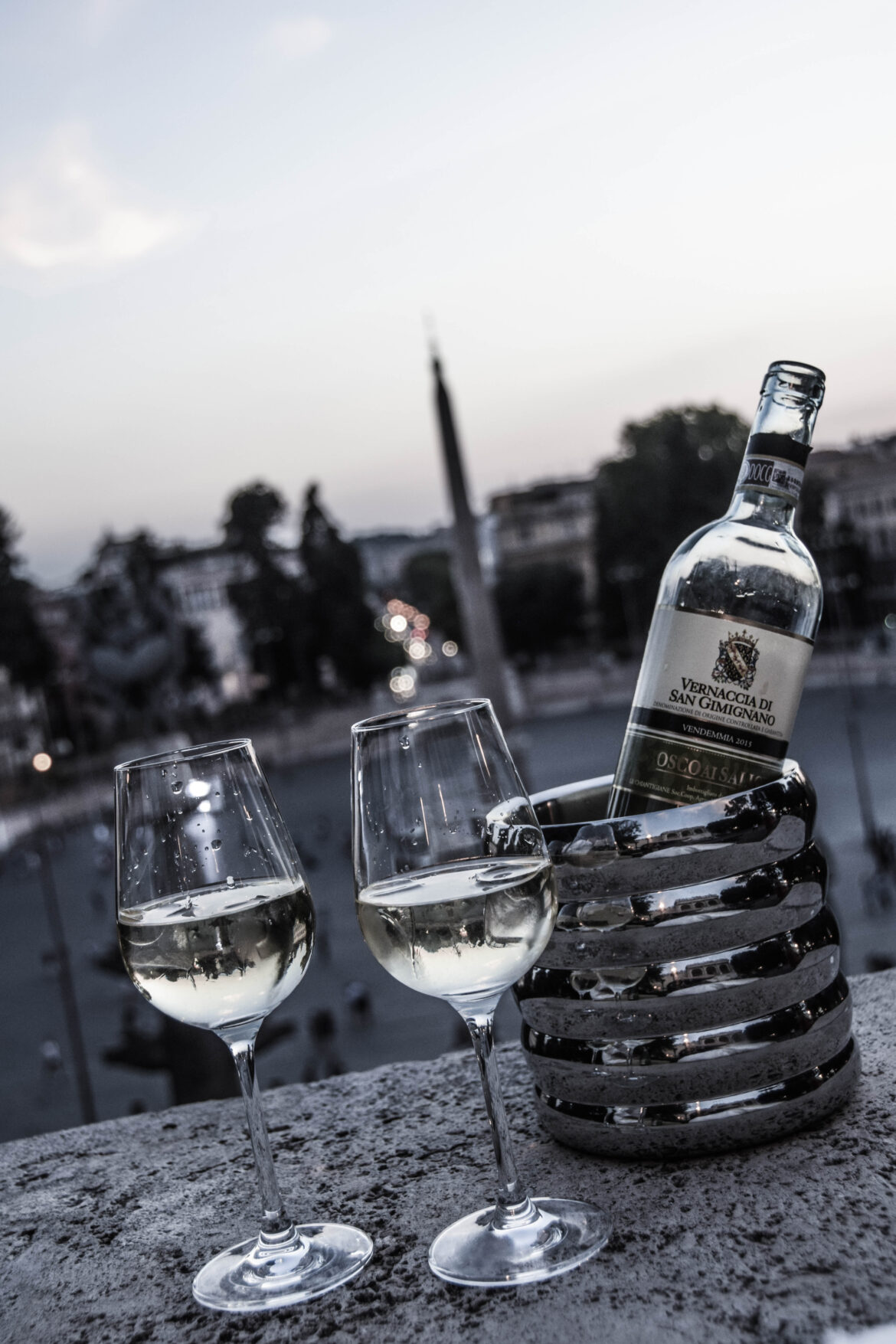 Arriving in Rome: From airport to central station by train, plus sundowner